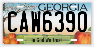 GA license plate CAW6390