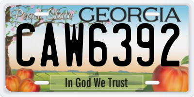 GA license plate CAW6392