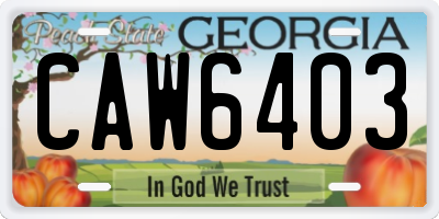 GA license plate CAW6403