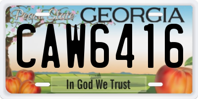 GA license plate CAW6416