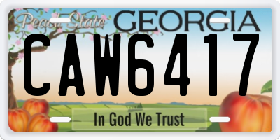 GA license plate CAW6417