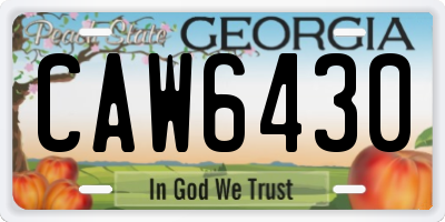 GA license plate CAW6430