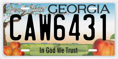 GA license plate CAW6431