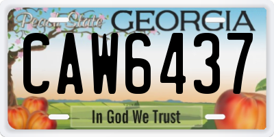 GA license plate CAW6437