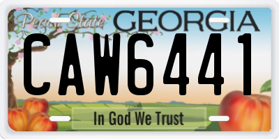 GA license plate CAW6441