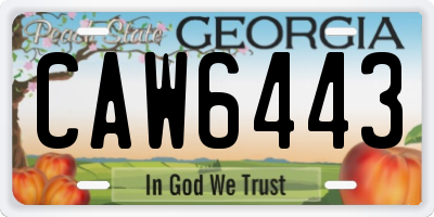 GA license plate CAW6443