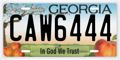 GA license plate CAW6444