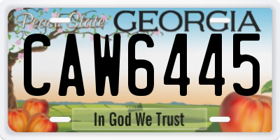 GA license plate CAW6445