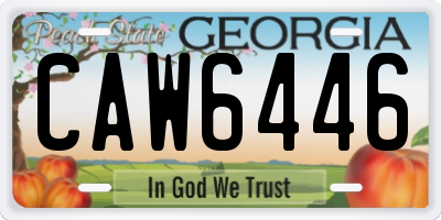 GA license plate CAW6446