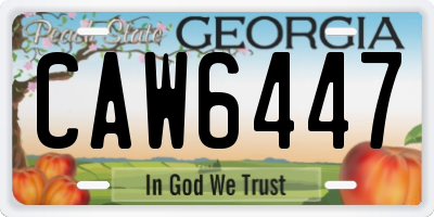 GA license plate CAW6447