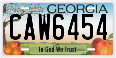 GA license plate CAW6454