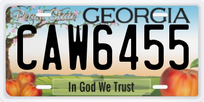 GA license plate CAW6455