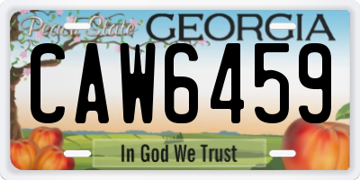 GA license plate CAW6459