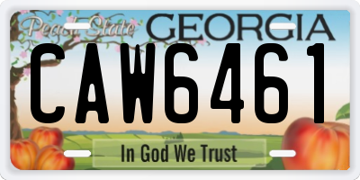 GA license plate CAW6461