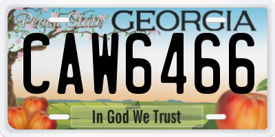 GA license plate CAW6466