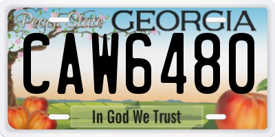 GA license plate CAW6480