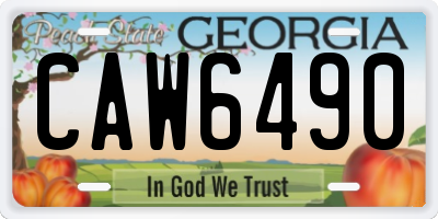 GA license plate CAW6490