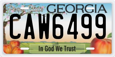 GA license plate CAW6499