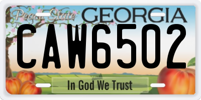 GA license plate CAW6502