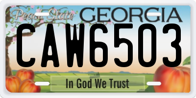 GA license plate CAW6503