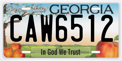 GA license plate CAW6512