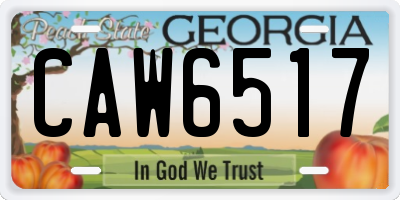 GA license plate CAW6517