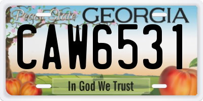 GA license plate CAW6531
