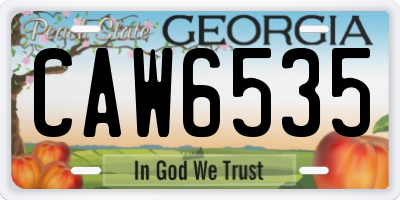 GA license plate CAW6535