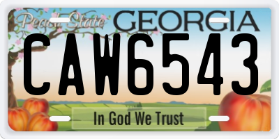 GA license plate CAW6543