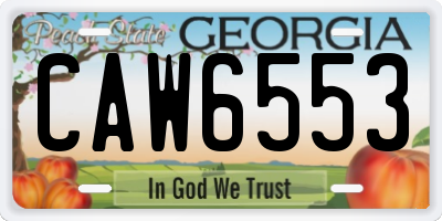 GA license plate CAW6553