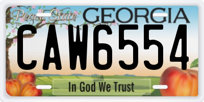 GA license plate CAW6554