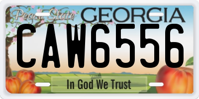 GA license plate CAW6556