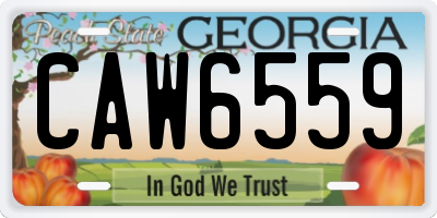 GA license plate CAW6559