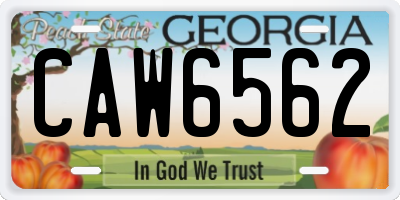 GA license plate CAW6562