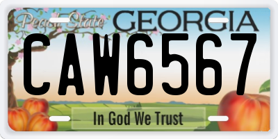 GA license plate CAW6567