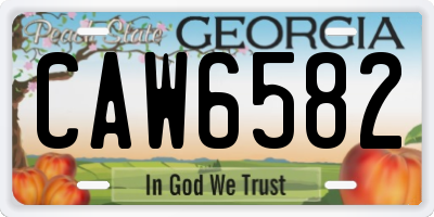 GA license plate CAW6582