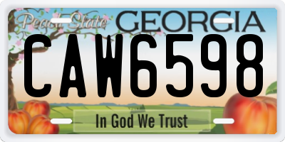GA license plate CAW6598