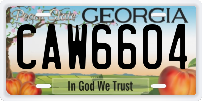 GA license plate CAW6604
