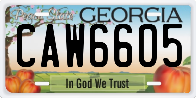 GA license plate CAW6605