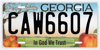 GA license plate CAW6607