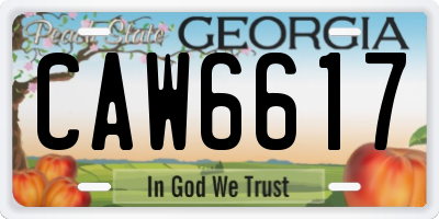 GA license plate CAW6617