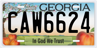 GA license plate CAW6624