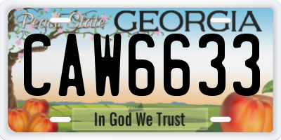 GA license plate CAW6633