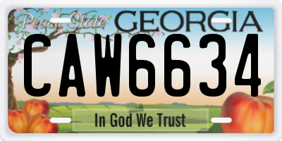 GA license plate CAW6634