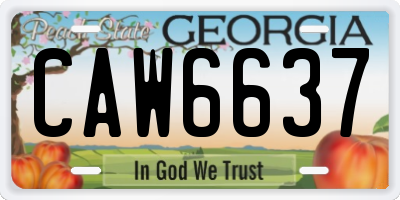 GA license plate CAW6637