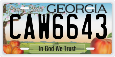 GA license plate CAW6643