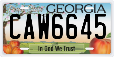 GA license plate CAW6645