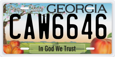 GA license plate CAW6646