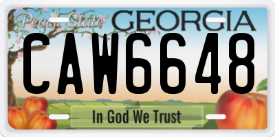 GA license plate CAW6648