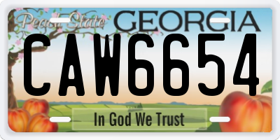 GA license plate CAW6654
